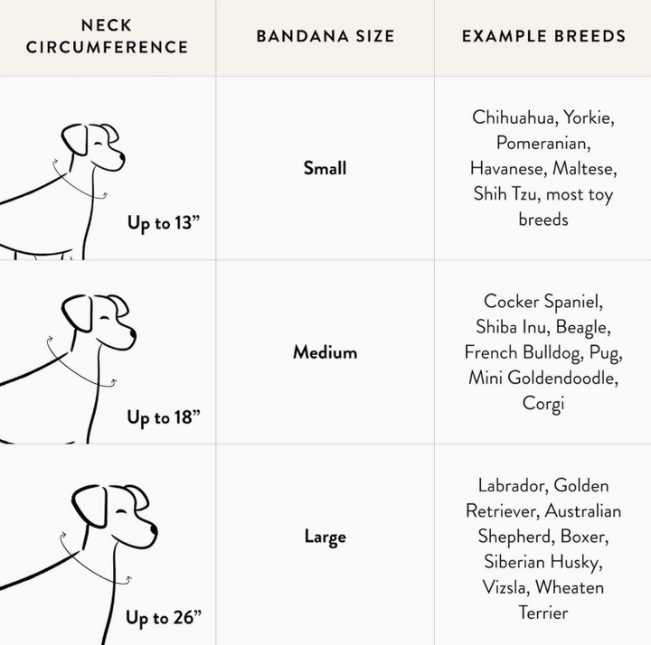 Margaux | The Foggy Dog - Babelle