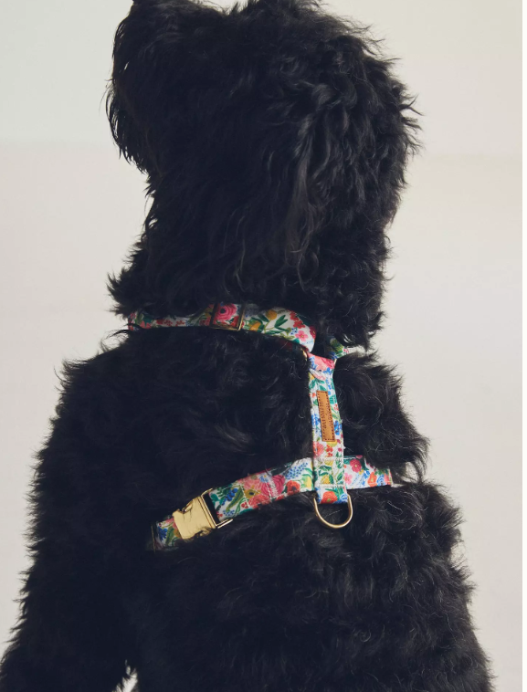 Garden Party Harness| The Foggy Dog - Babelle