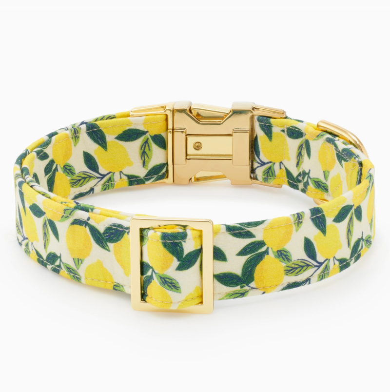 Lemon Zest Collar | The Foggy Dog - Babelle
