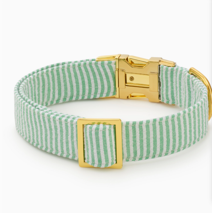 Green Seersucker Collar | The Foggy Dog - Babelle