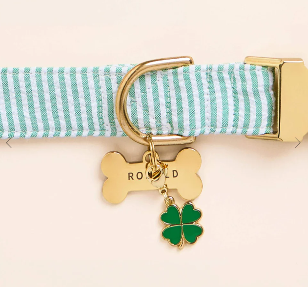 Green Seersucker Collar | The Foggy Dog - Babelle