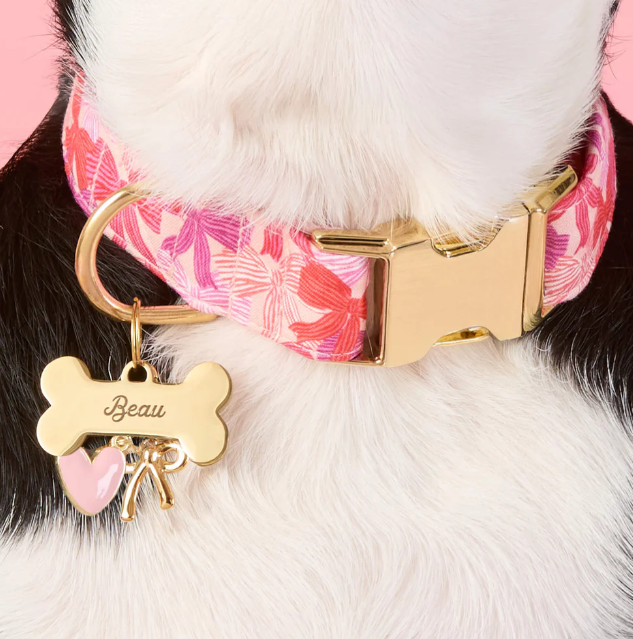 Take a Bow  Collar | The Foggy Dog - Babelle