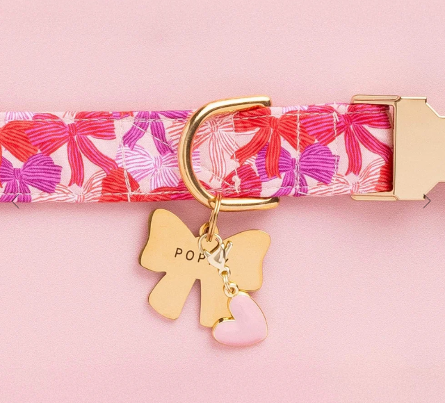 Take a Bow  Collar | The Foggy Dog - Babelle