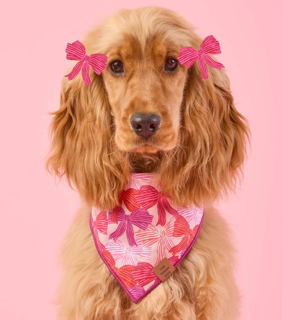 Take a Bow Bandana | The Foggy Dog - Babelle