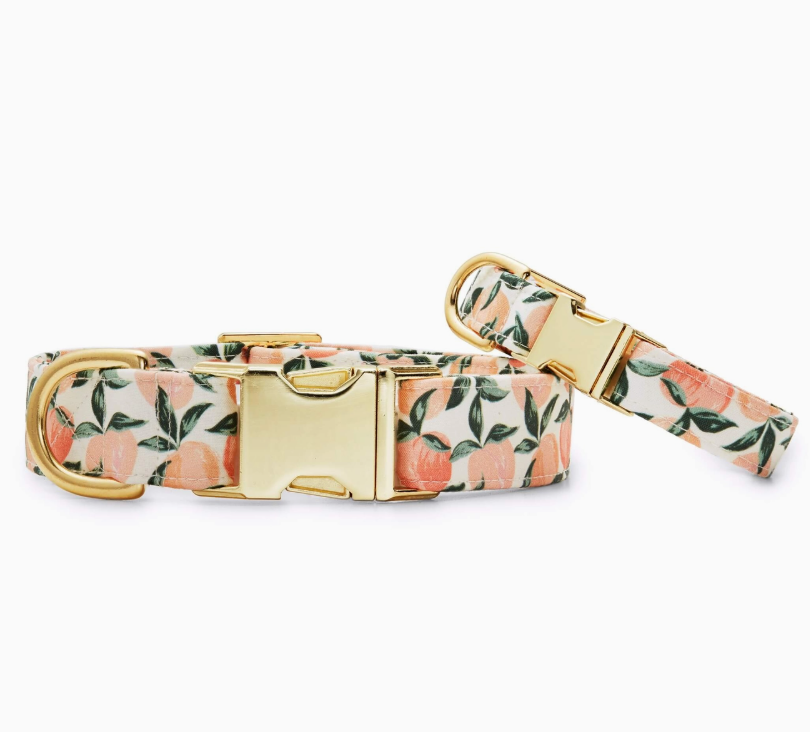 Peaches Collar | The Foggy Dog - Babelle