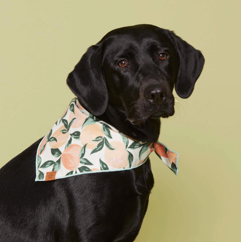 Peaches Bandana | The Foggy Dog - Babelle