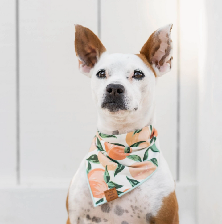 Peaches Bandana | The Foggy Dog - Babelle