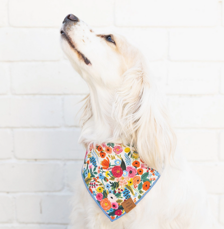 Garden Party Bandana | The Foggy Dog - Babelle