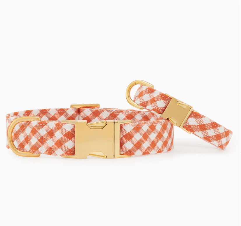 Cider Gingham Collar | The Foggy Dog - Babelle