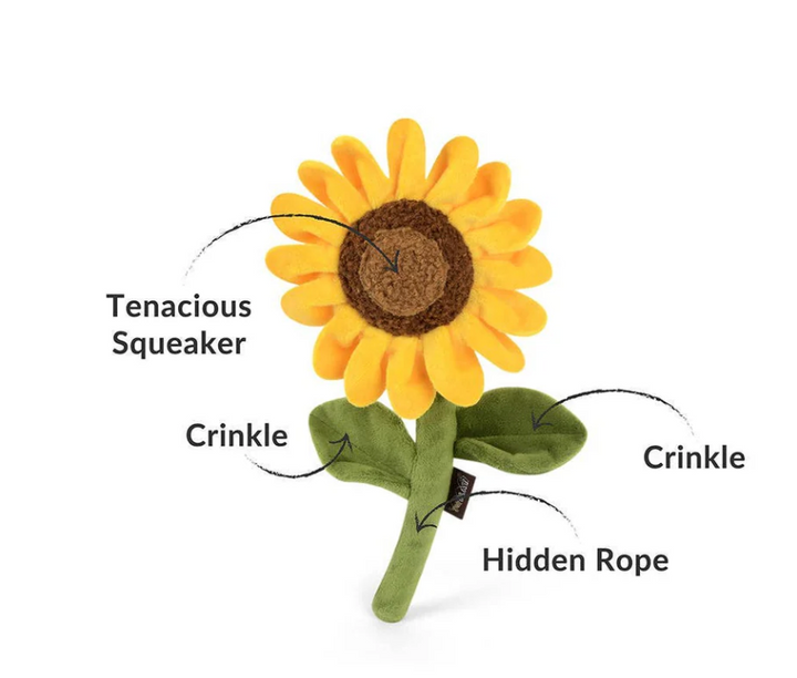 Sunflower | P.L.A.Y. - Babelle