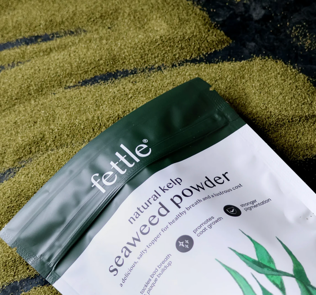 Kelp Seaweed | Fettle - Babelle