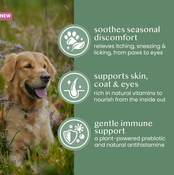 Nettle Powder | Fettle - Babelle