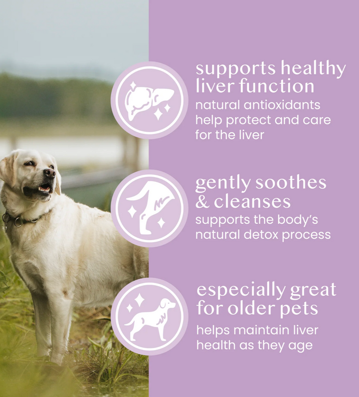 Milk Thistle Powder | Fettle - Babelle