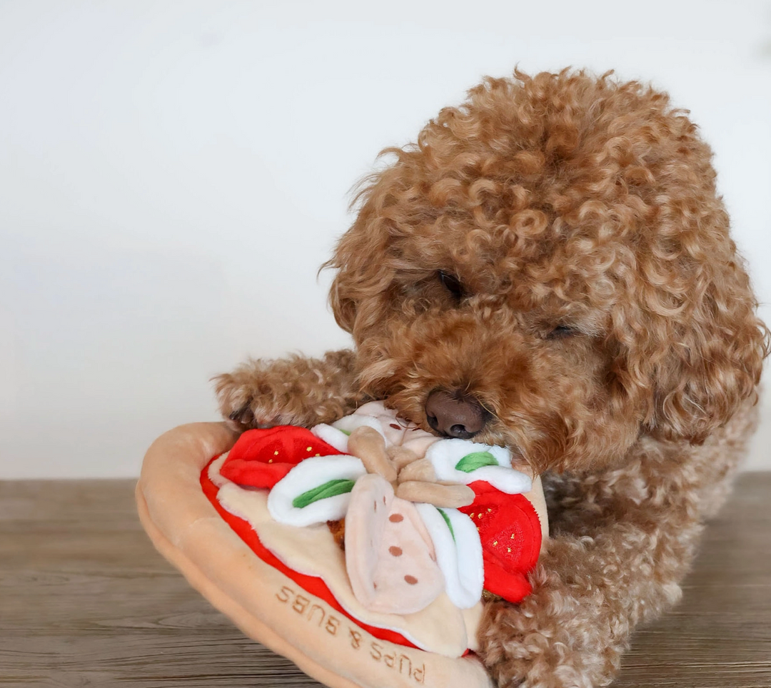 Pepperoni Snuffle Mat  | Pups & Bubs