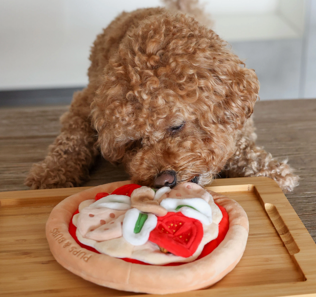 Pepperoni Snuffle Mat  | Pups & Bubs
