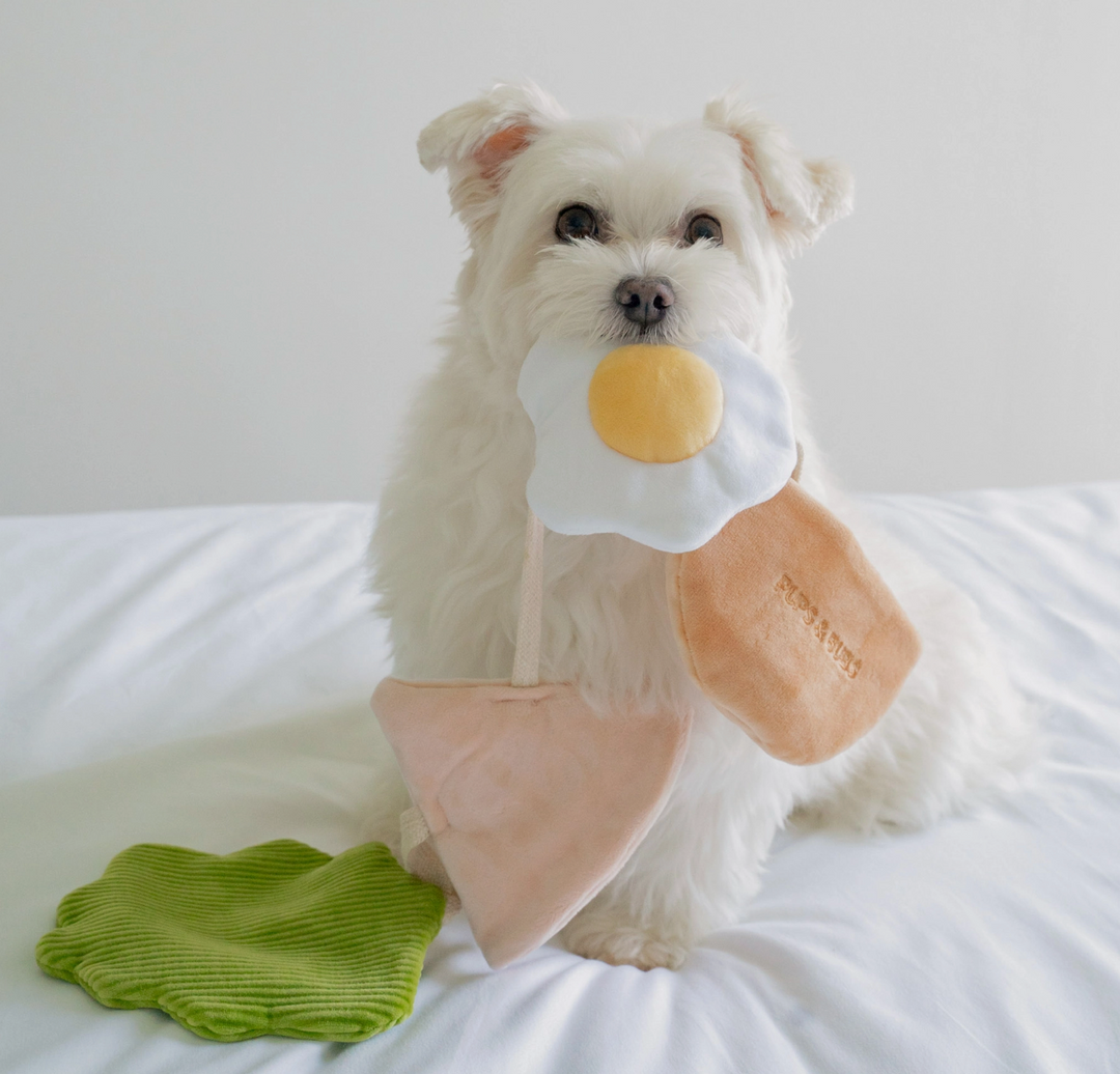 Pita Pocket Snuffle toy  | Pups & Bubs