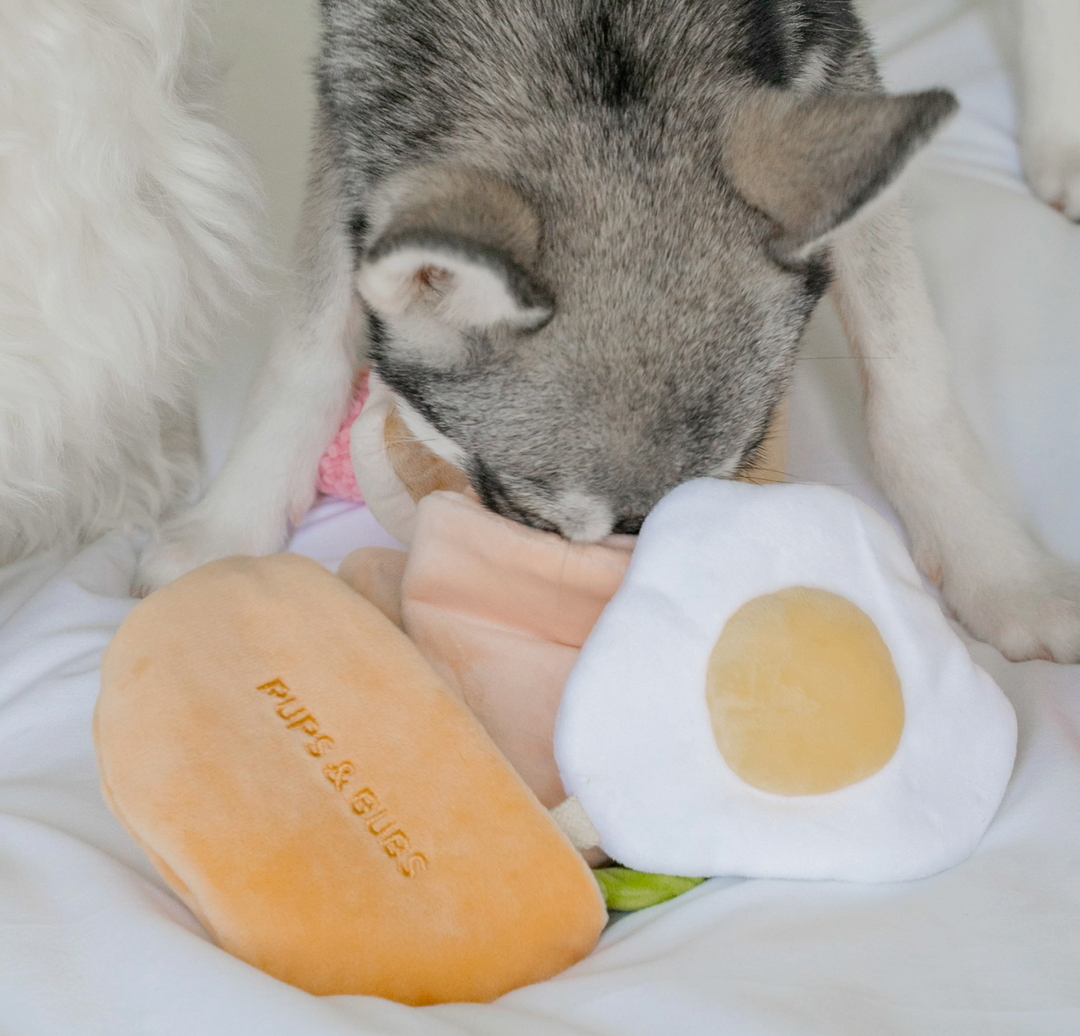 Pita Pocket Snuffle toy  | Pups & Bubs