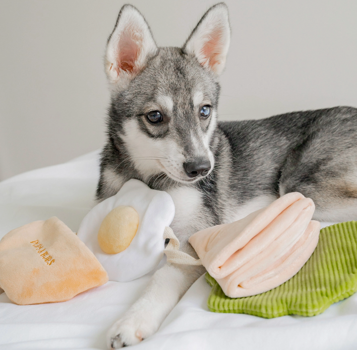 Pita Pocket Snuffle toy  | Pups & Bubs