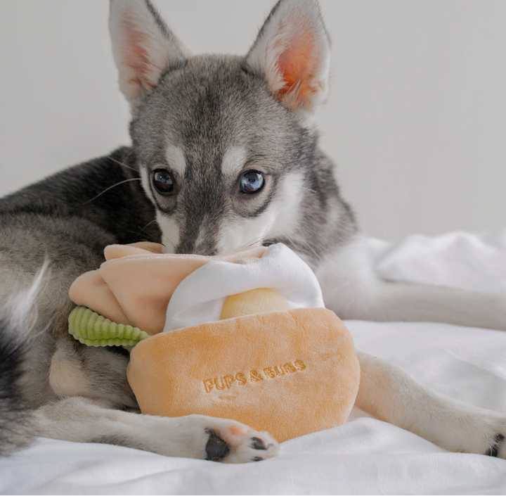 Pita Pocket Snuffle toy  | Pups & Bubs