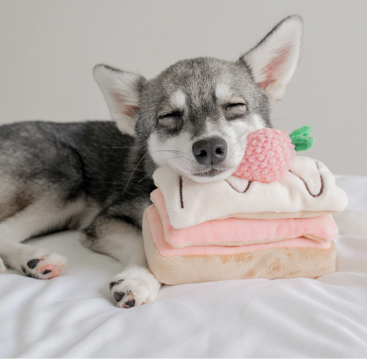 Millefeuille Snuffle toy  | Pups & Bubs