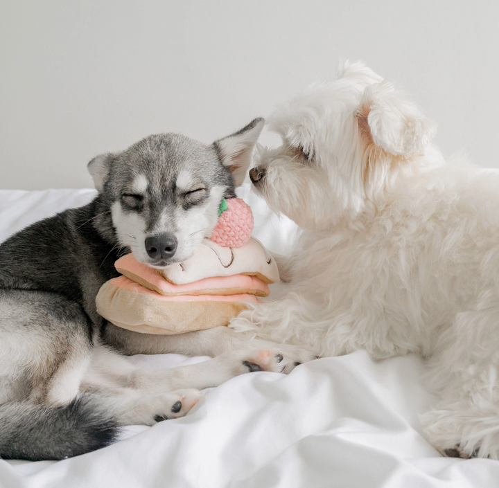 Millefeuille Snuffle toy  | Pups & Bubs