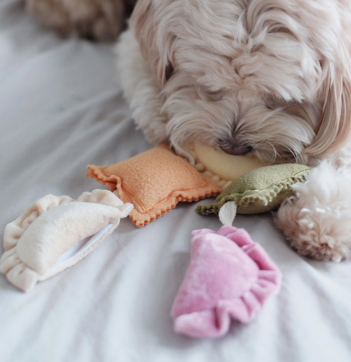 Ravioli Snuffle toy  | Pups & Bubs