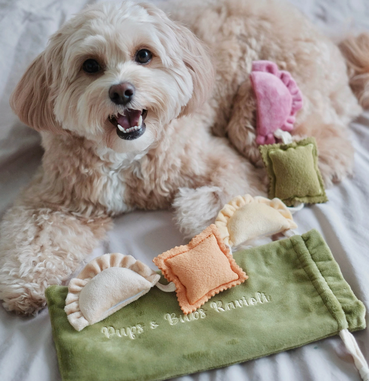 Ravioli Snuffle toy  | Pups & Bubs