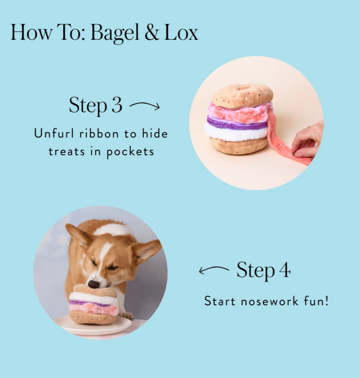 Bagel Snuffle Toy| The Foggy Dog
