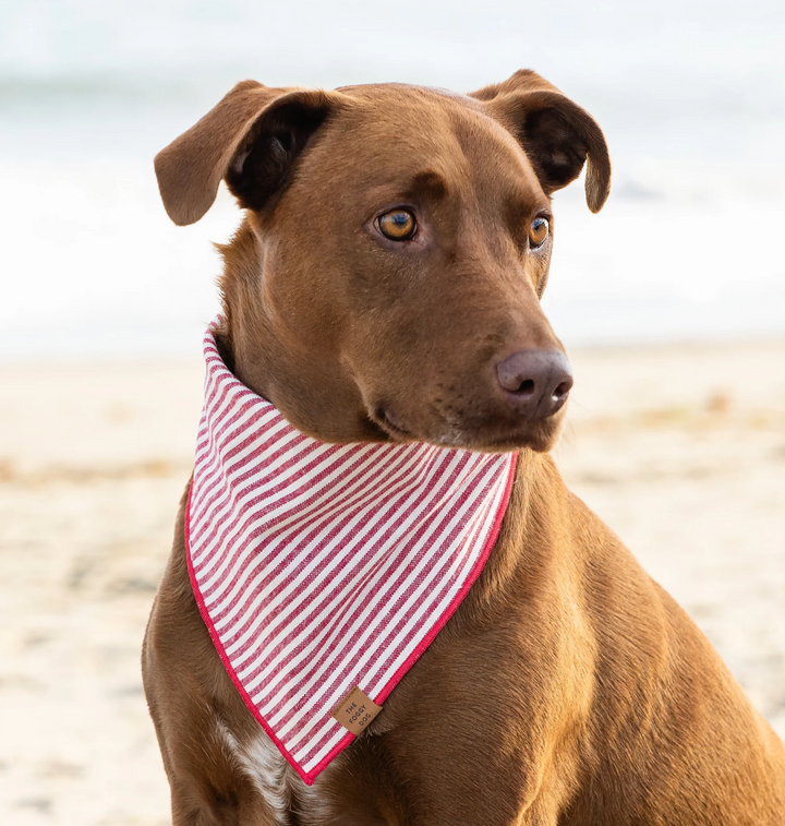 Red Stripe Bandana | The Foggy Dog