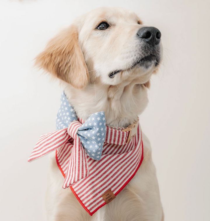 Red Stripe Bandana | The Foggy Dog