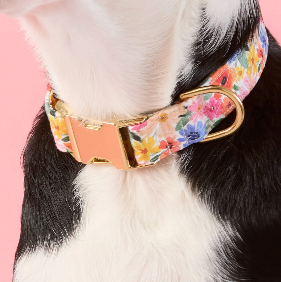Margaux Collar | The Foggy Dog