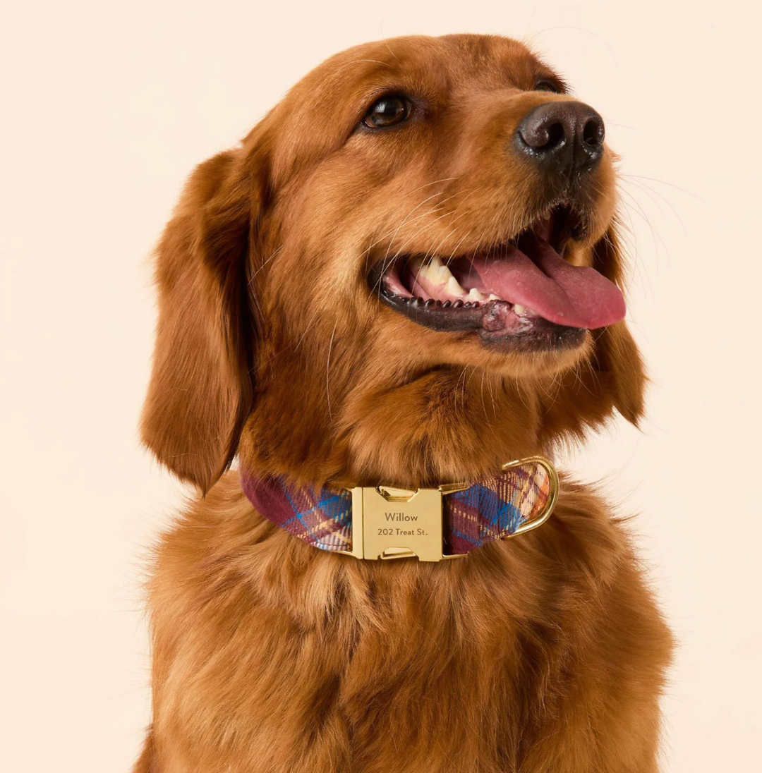 Marlow Plaid Flannel Collar | The Foggy Dog