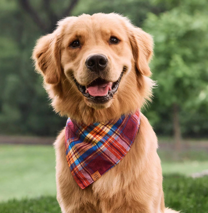 Marlow Plaid Flannel Bandana | The Foggy Dog