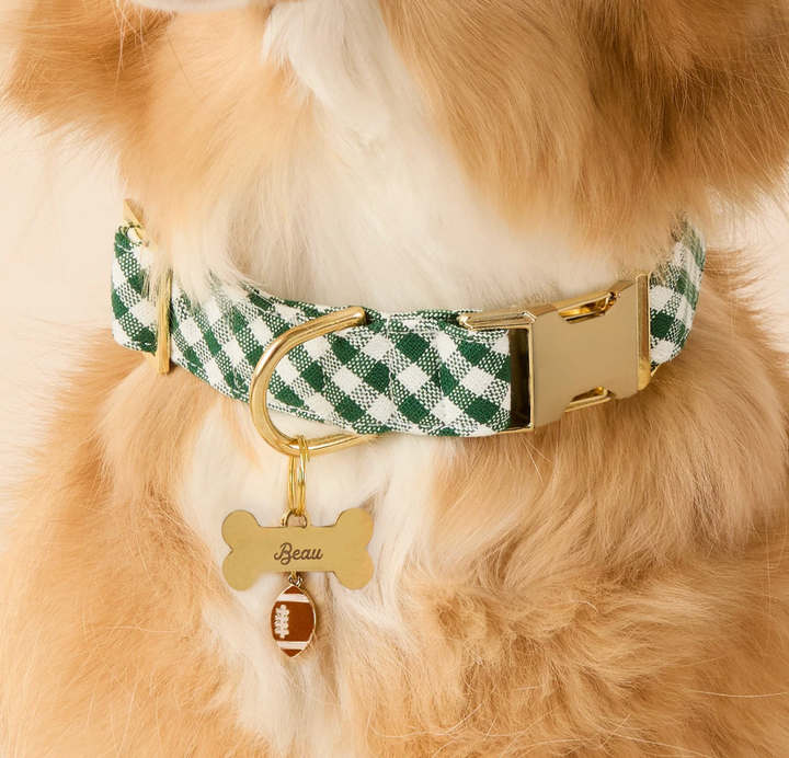 Evergreen Gingham Collar | The Foggy Dog