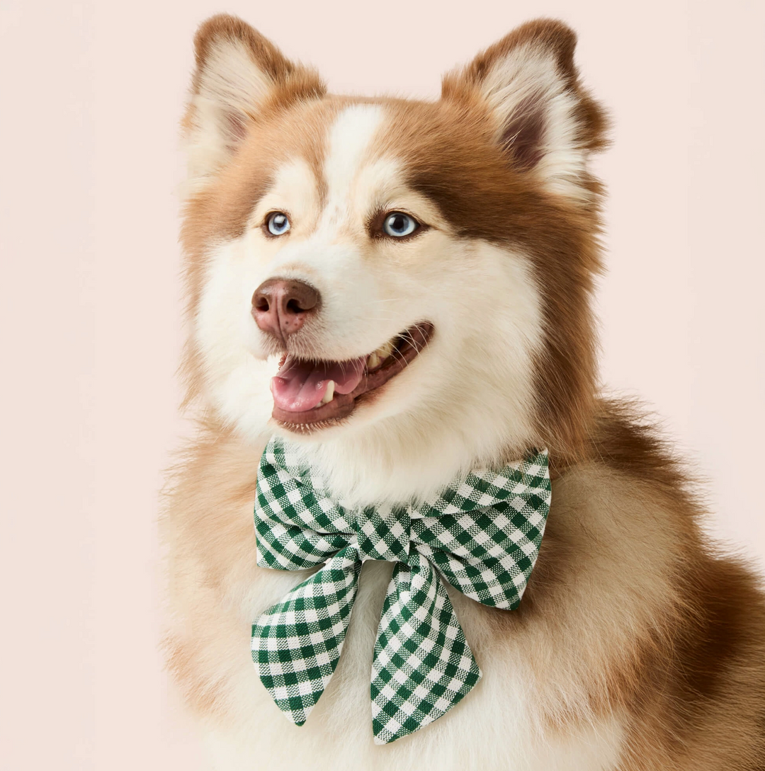 Evergreen Gingham Bow | The Foggy Dog