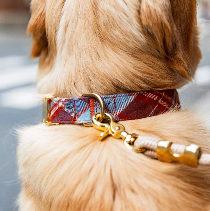 Maple Plaid Flannel Collar | The Foggy Dog