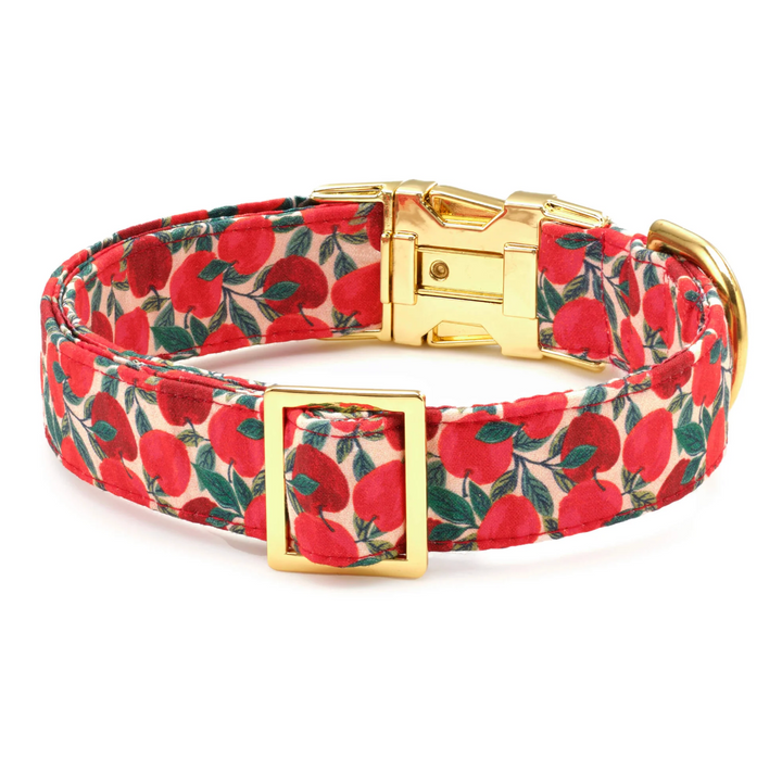 Apple Of My Eye Collar | The Foggy Dog