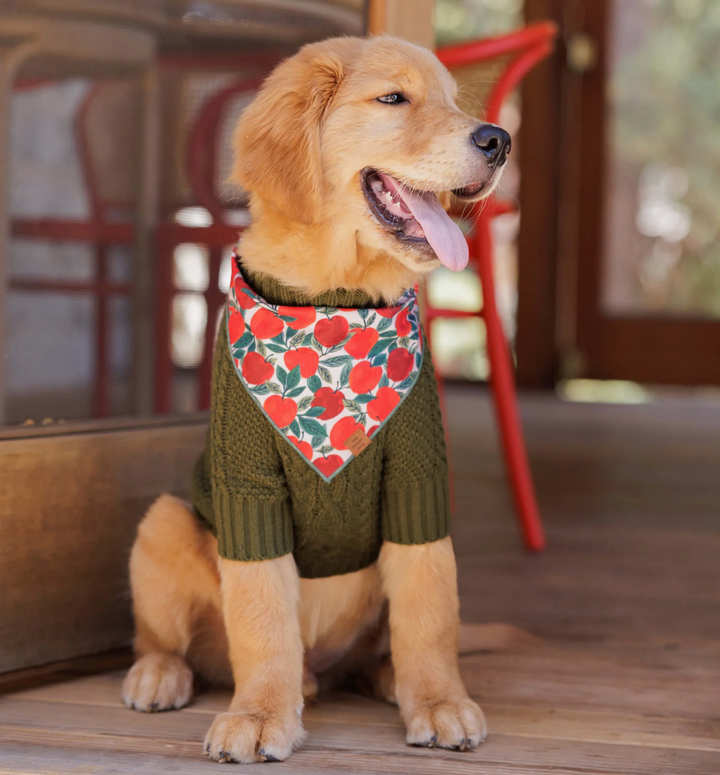 Apple Of My Eye Bandana | The Foggy Dog