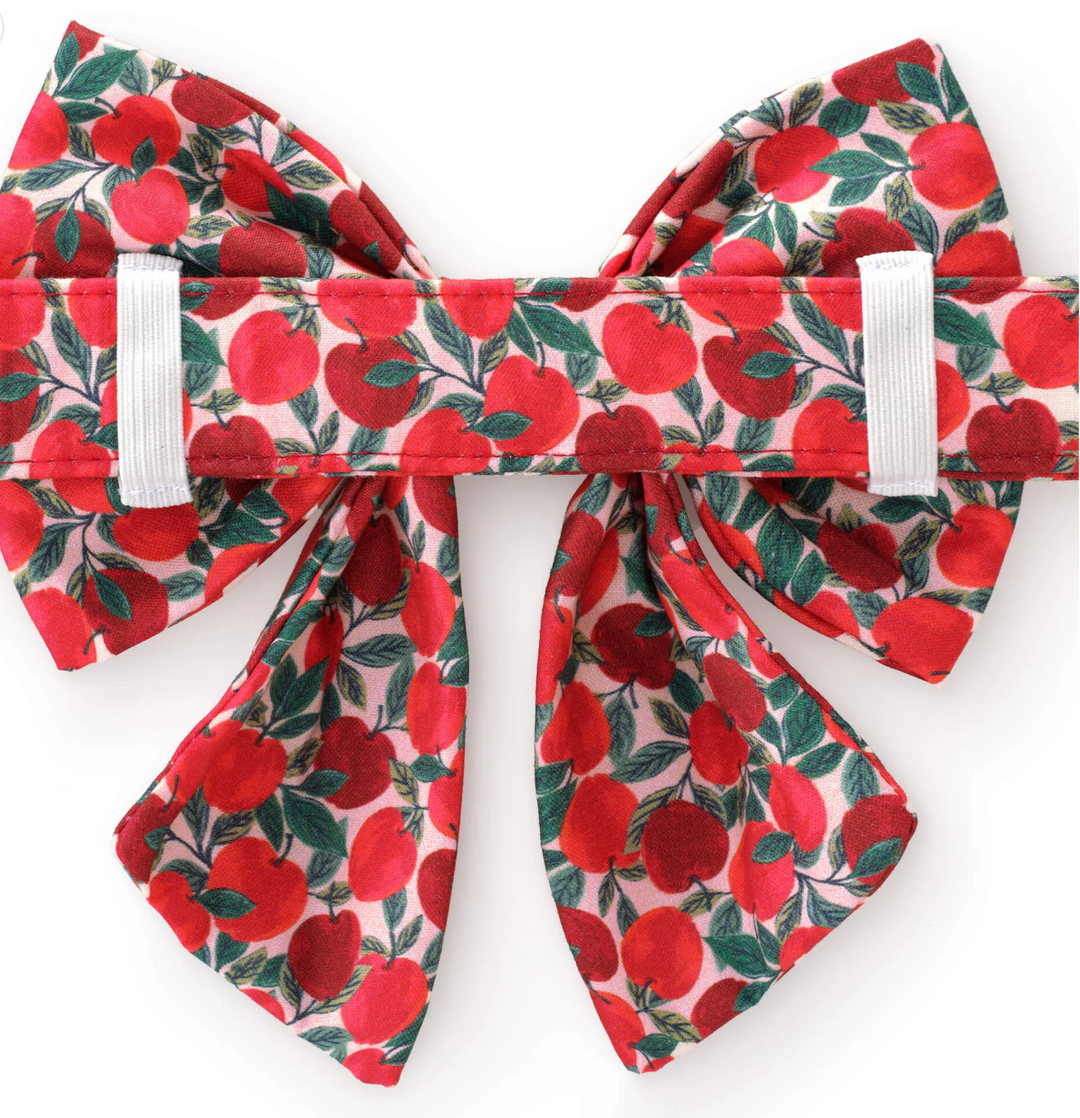 Apple Of My Eye Bow | The Foggy Dog