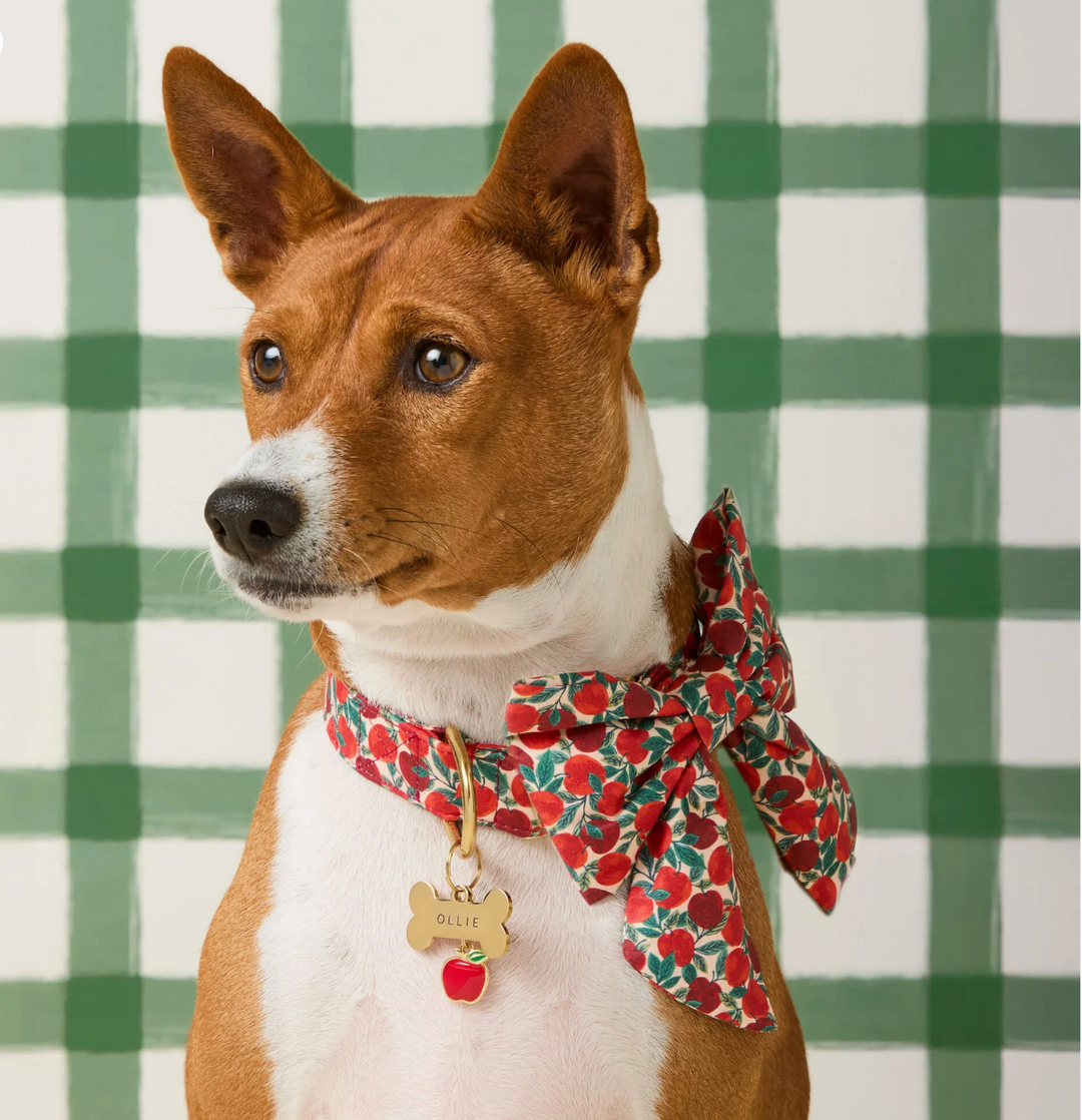 Apple Of My Eye Bow | The Foggy Dog