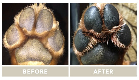 Paw soother | Natural dog company - Babelle