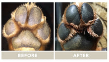 Load image in Gallery view, Paw soother | Natural dog company - Babelle
