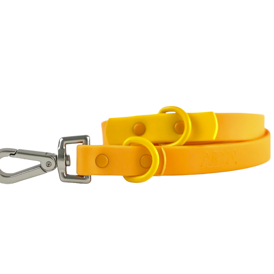 Two tone Orange | Approved By Fritz - Babelle