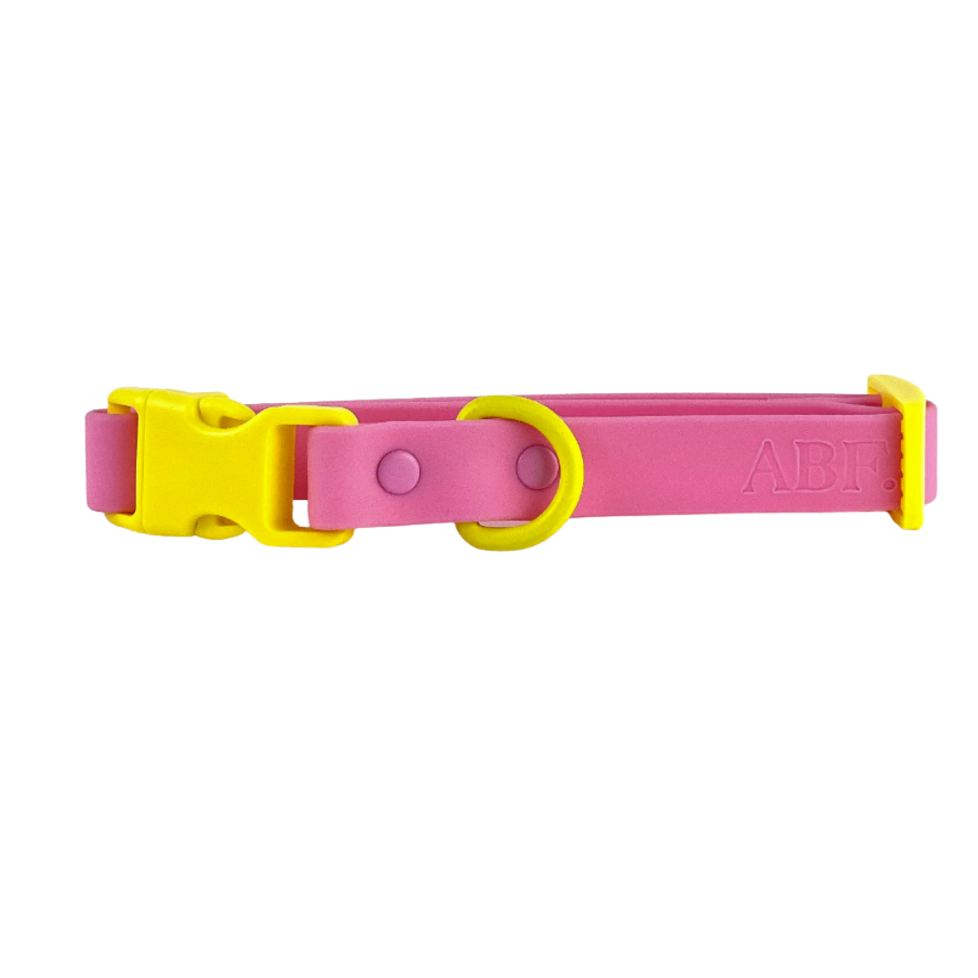 Pink/Yellow collar | Approved By Fritz - Babelle