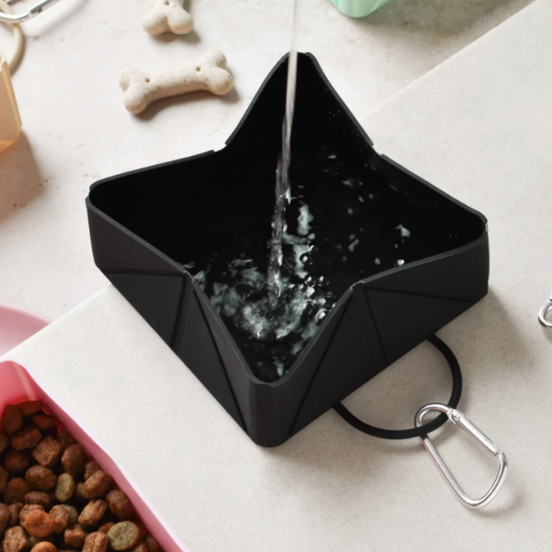 Travel bowl Black | Cocopup - Babelle