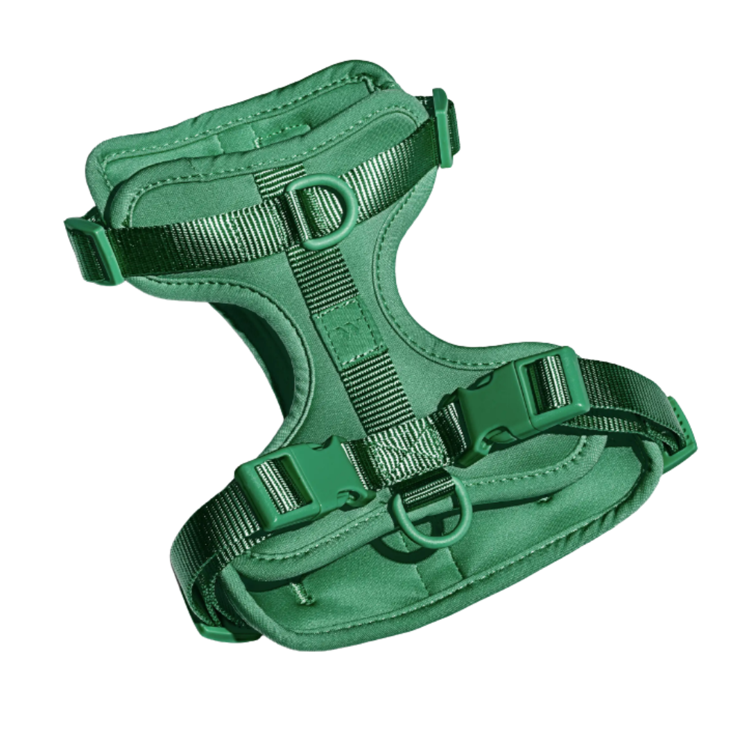 Spruce Harness | Wild One - Babelle