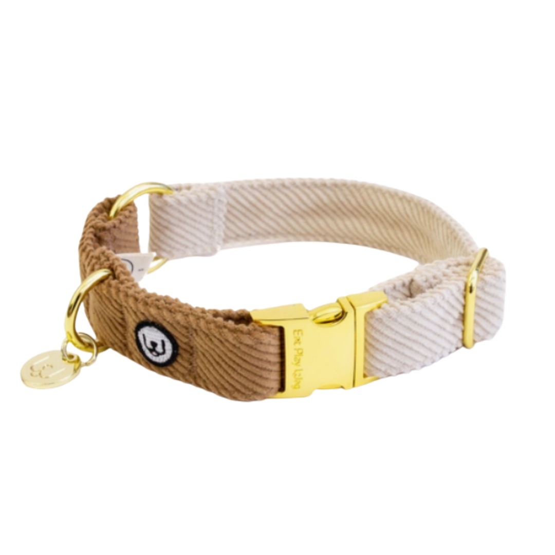 Cappuccino Corduroy collar | Eat Play Wag - Babelle
