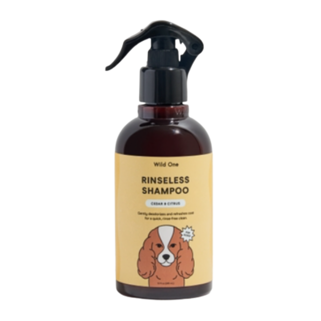 Rinseless Shampoo  | Wild One - Babelle