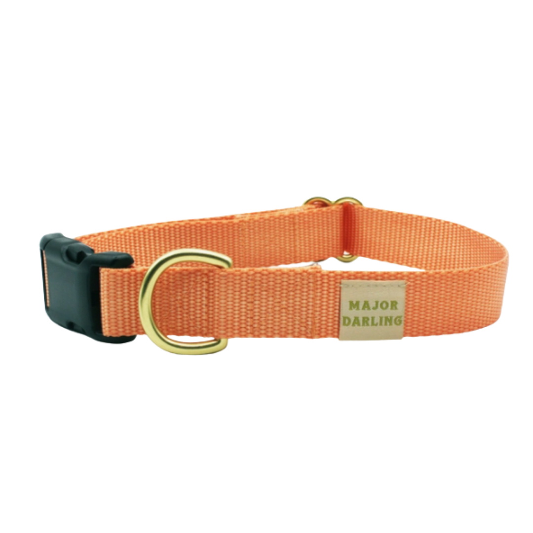 Peach Collar | Major Darling - Babelle