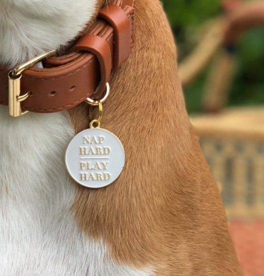 Nap Hard Play Hard | Two Tails Pet Company - Babelle
